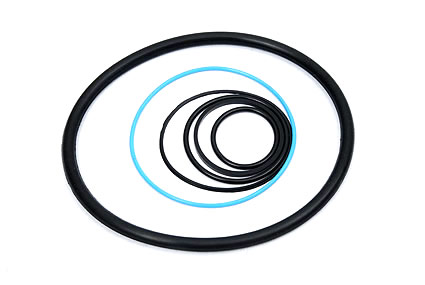 O'Rings Real Polymers